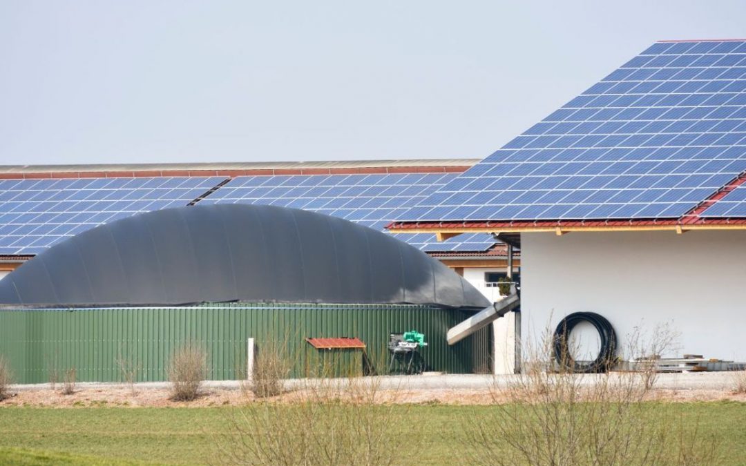 impianto fotovoltaico aziende agricole