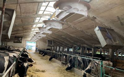 I vantaggi dei sistemi di ventilazione Erilon per stalle