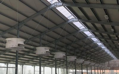 Gli impianti di ventilazione e raffrescamento per cavalli