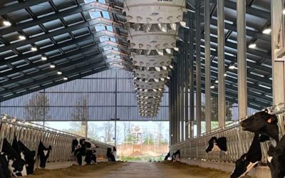 Perché integrare un sistema di ventilazione nella stalla