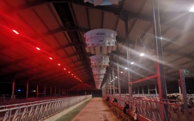 Quali sono i fattori da considerare nella scelta dei sistemi di ventilazione e raffrescamento per le stalle