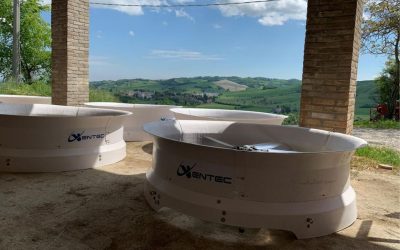 Ventilatori per stalle: compri ora e paghi dal 1° ottobre