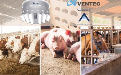 Raffrescare le stalle: noleggia i nostri sistemi di ventilazione