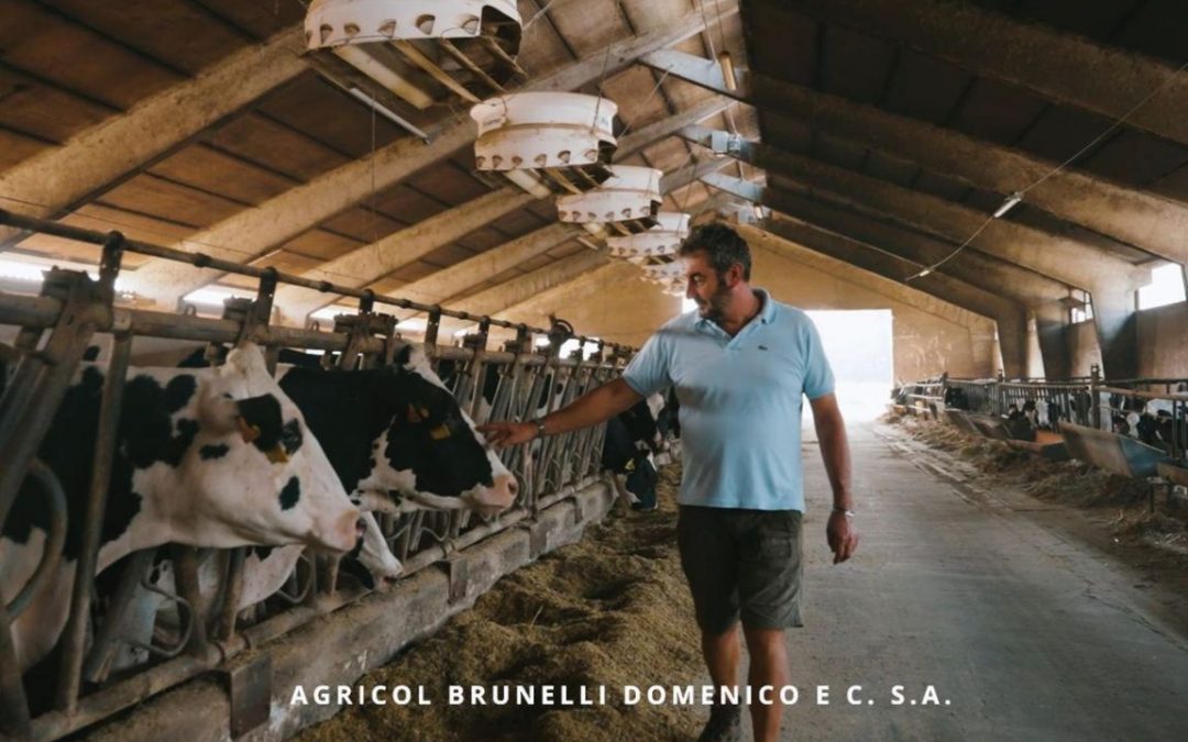 Ventilazione stalle per bovini: il caso di Agricol Brunelli