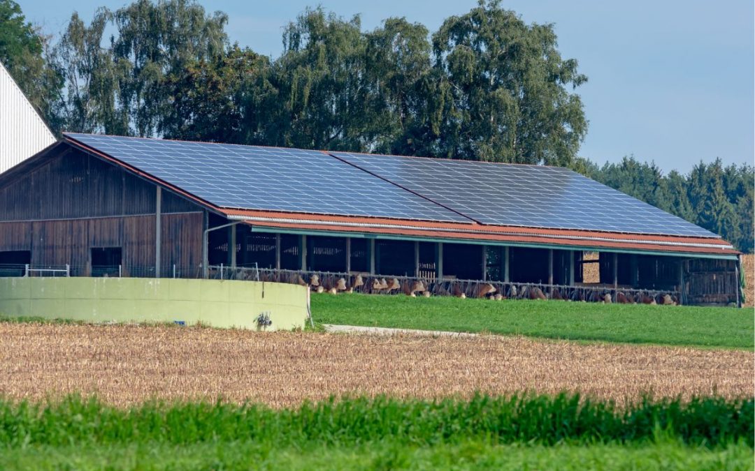 Fotovoltaico Agricolo: passa all’Energia Solare