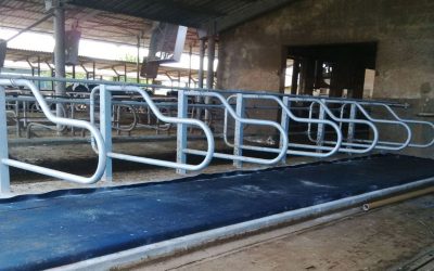 Battifianchi flessibili per stalle: rivoluzionare il comfort degli animali