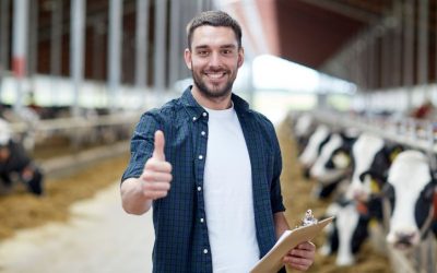 Erilon ti guida al Comfort Farming: benessere animale e produttività