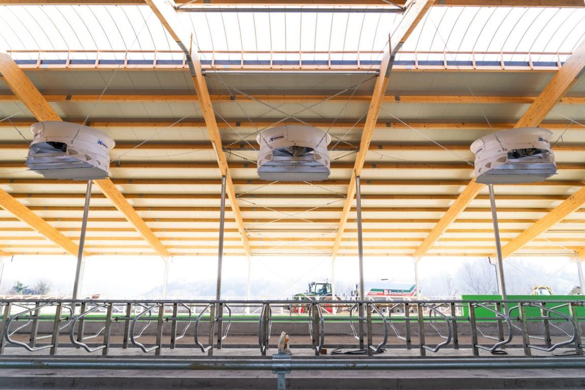 EliteShade Ombrellone Da Mercato Per Esterni – 3 M, Tessuto Acrilico 100% (10 Anni Anti-sbiadimento), Struttura Acciaio, Apertura A Manovella, Marrone