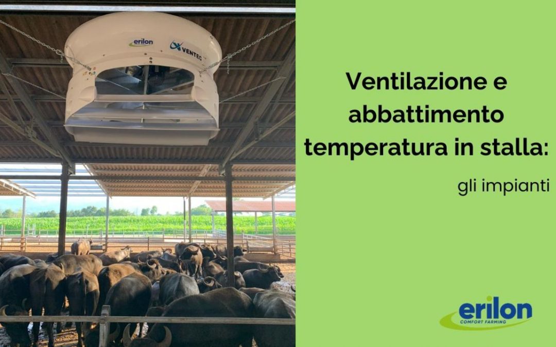 Ventilazione e abbattimento temperatura in stalla: gli impianti necessari
