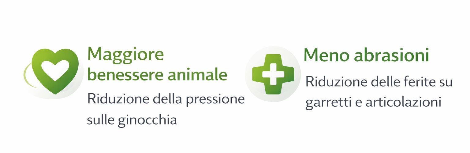 WhatsApp Image 2025 12 28 at 19.59.23 (2)