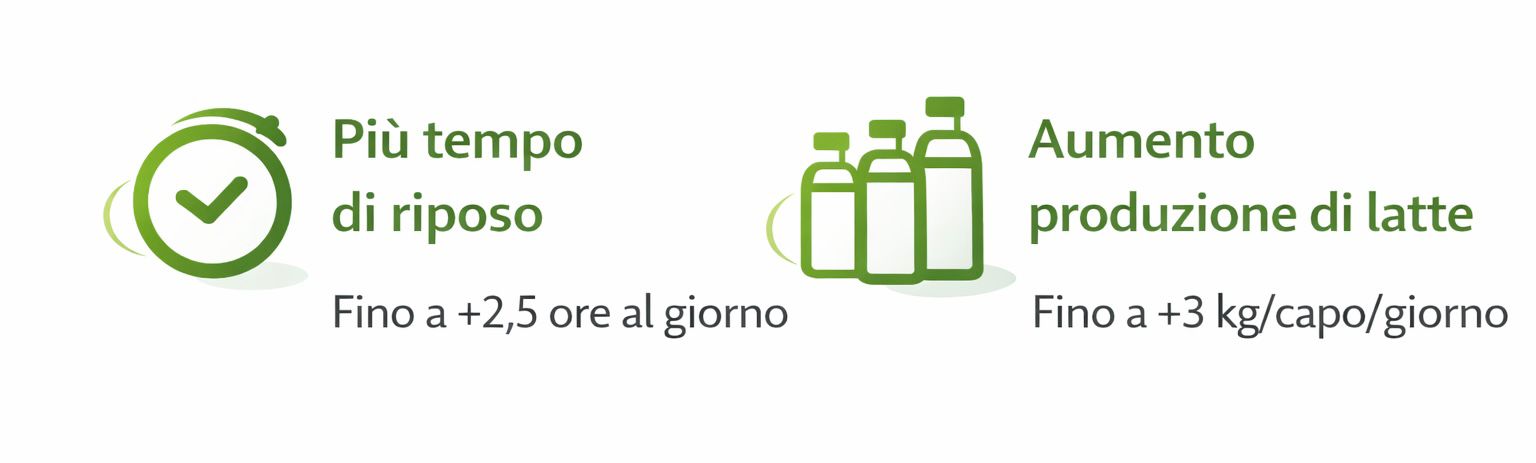 WhatsApp Image 2025 12 28 at 19.59.23