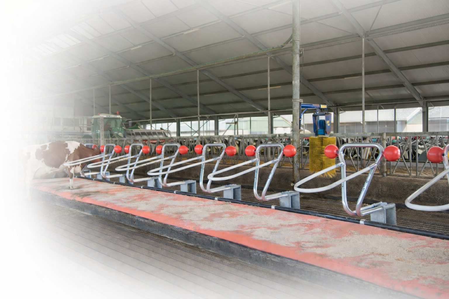 7b09165a ab96 421f 831d 1bd1c053bb30