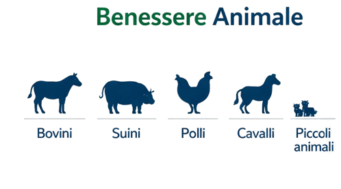 Benessere animale e uomo removebg preview