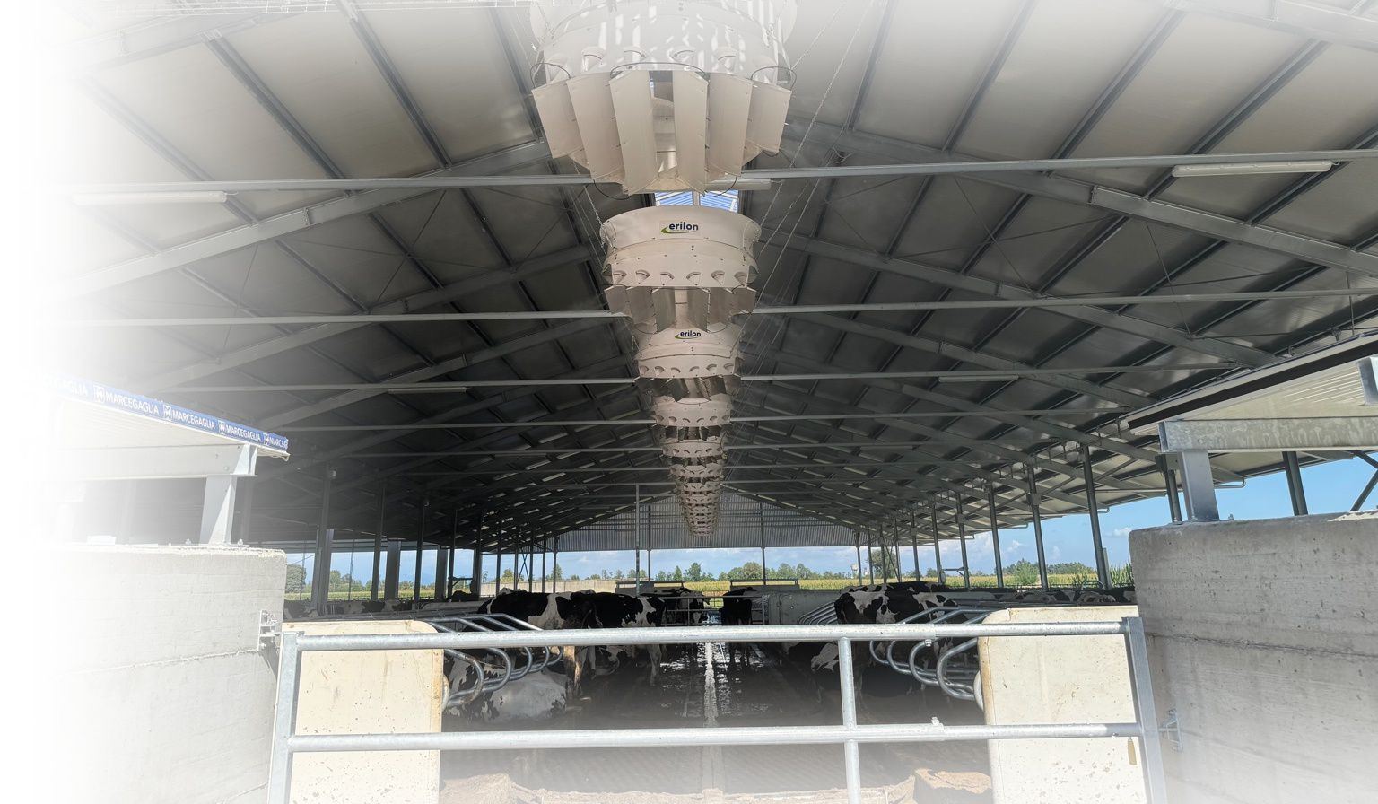 WhatsApp Image 2026 02 13 at 12.02.01