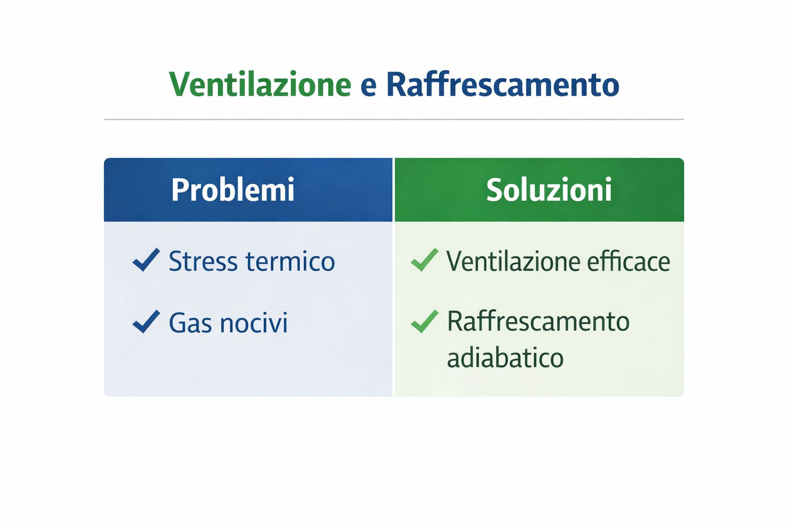 WhatsApp Image 2026 02 13 at 12.48.00