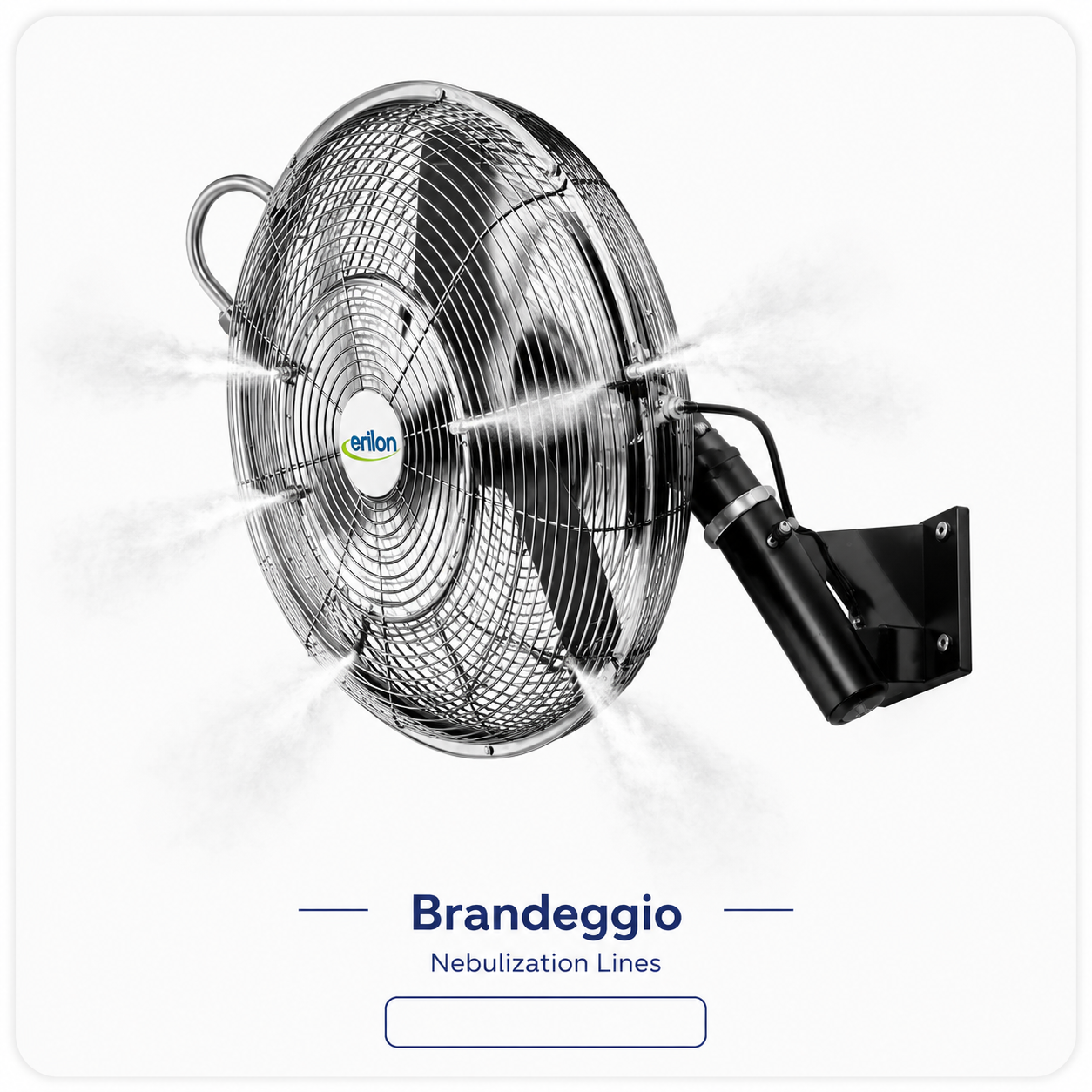 BRANDEGGIO BRANDEGGIO