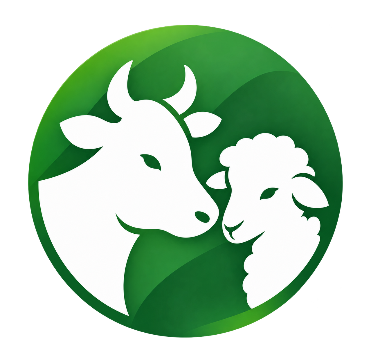 Vita degli animali